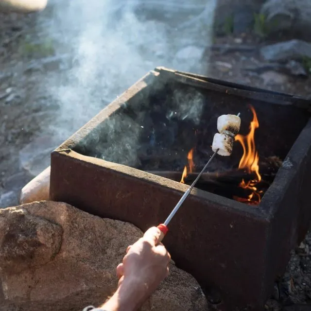 Coghlan's Telescoping Camp Fork 2387